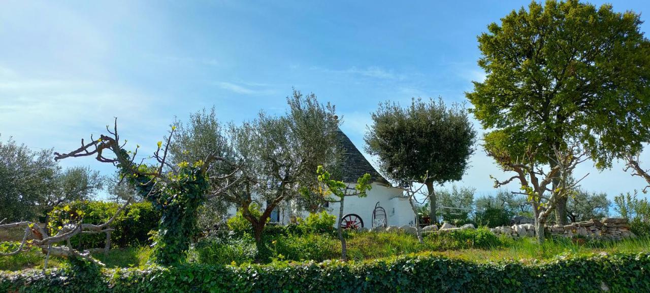 Antico Trullo Immerso Nella Campagna ألبيروبيللو المظهر الخارجي الصورة