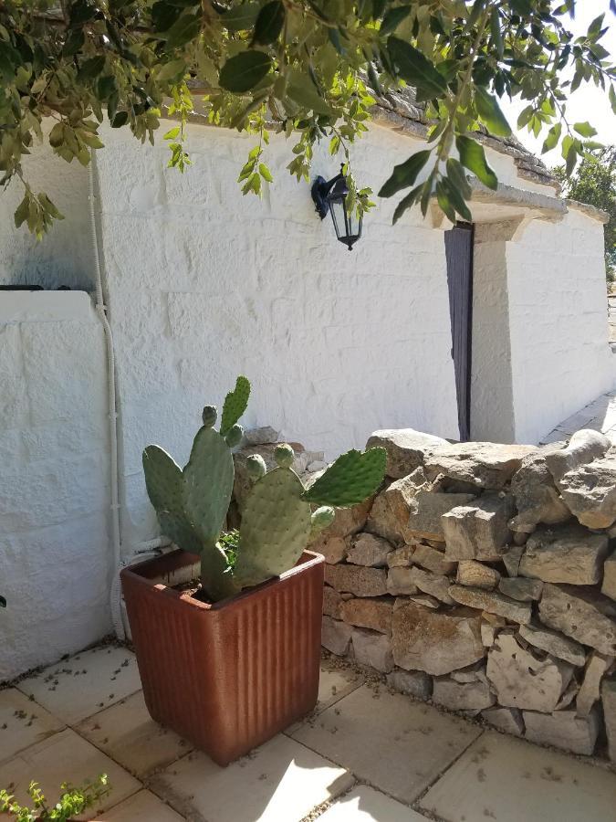 Antico Trullo Immerso Nella Campagna ألبيروبيللو المظهر الخارجي الصورة