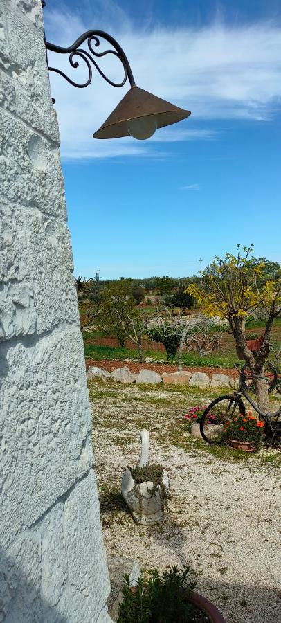 Antico Trullo Immerso Nella Campagna ألبيروبيللو المظهر الخارجي الصورة